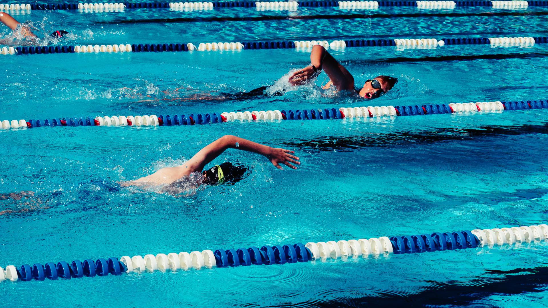 Škola plivanja Swim Way Beograd | Takmičarska selekcija